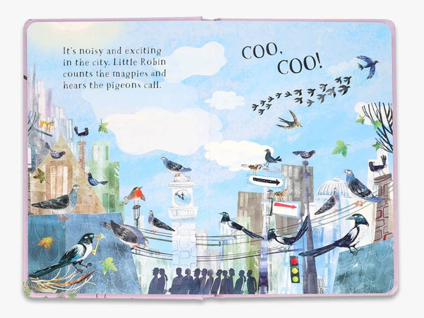 Little Robin's Book of Birds