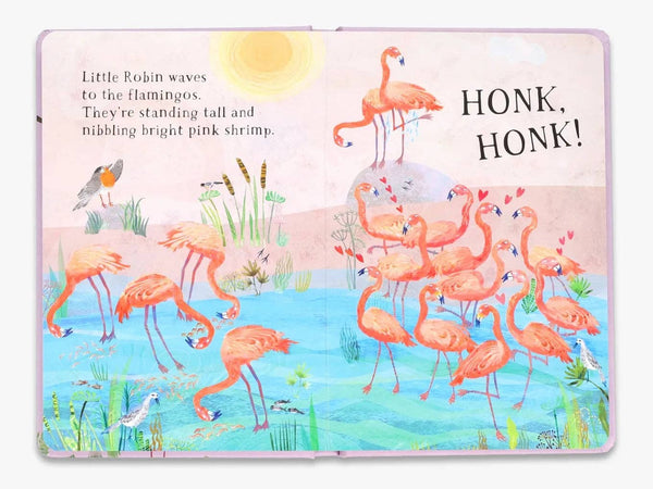 Little Robin's Book of Birds