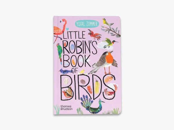 Little Robin's Book of Birds