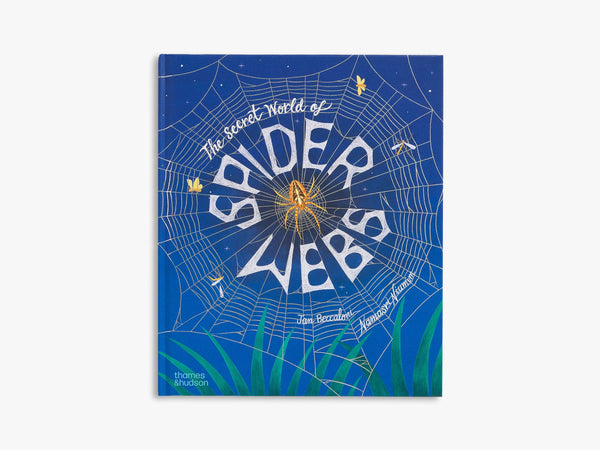 The Secret World of Spider Webs