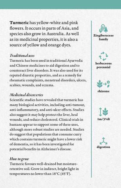 A Cabinet Full of Medicinal Plants