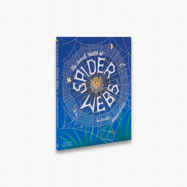 The Secret World of Spider Webs