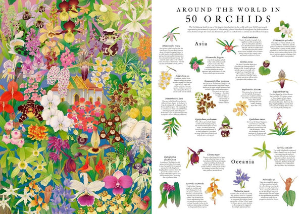 Around the World in 50 Orchids Jigsaw