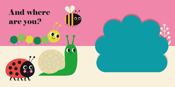 Where's Mrs Ladybird Buggy Book