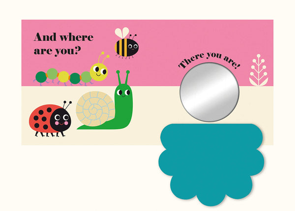 Where's Mrs Ladybird Buggy Book